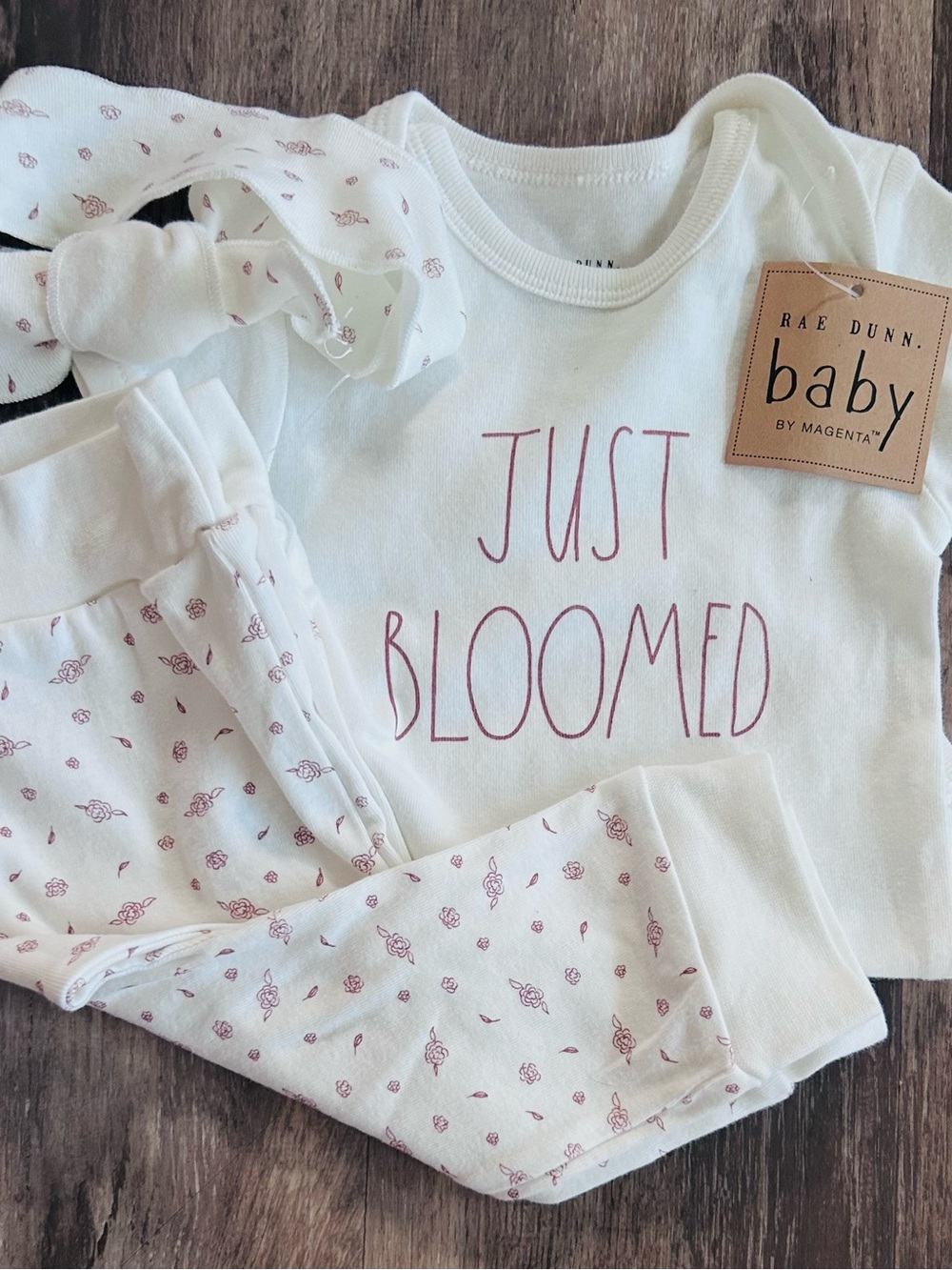 NWT Girls 6-9 Month “Just Bloomed” Rae Dunn Outfit
